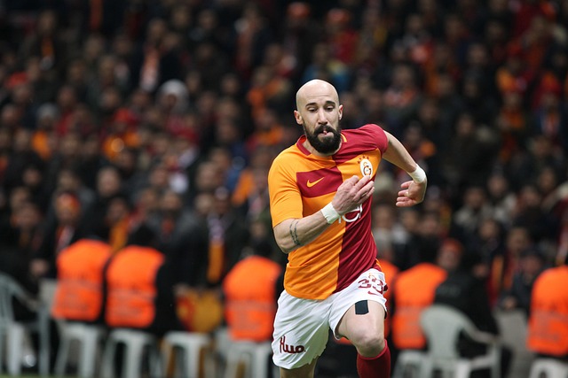 巴塞羅那的 巴塞羅那的